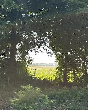 בית נופש Nieuw! Sfeervol Tiny House In De En Aan Het Water *