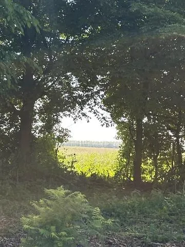 Dom wakacyjny Nieuw! Sfeervol Tiny House In De En Aan Het Water *